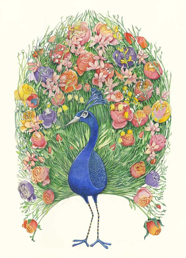 Peacock Greetings Card