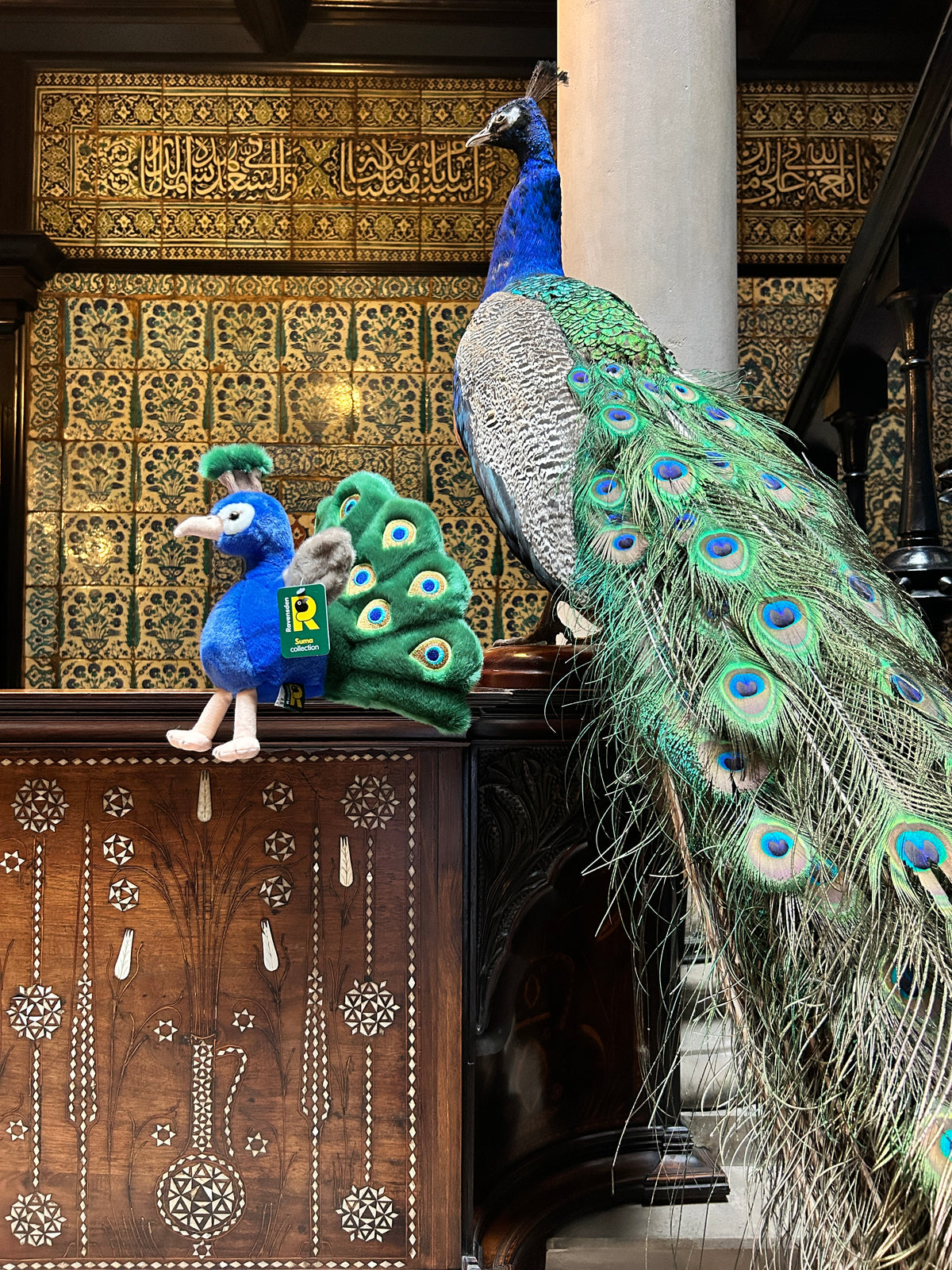 Peacock Plush Toy